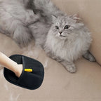 Pet Static Hair Removal Glove Double-Sided Brush Hair Remover Sticky Hair Remover Cat Hair Glove Dog Hair Comb